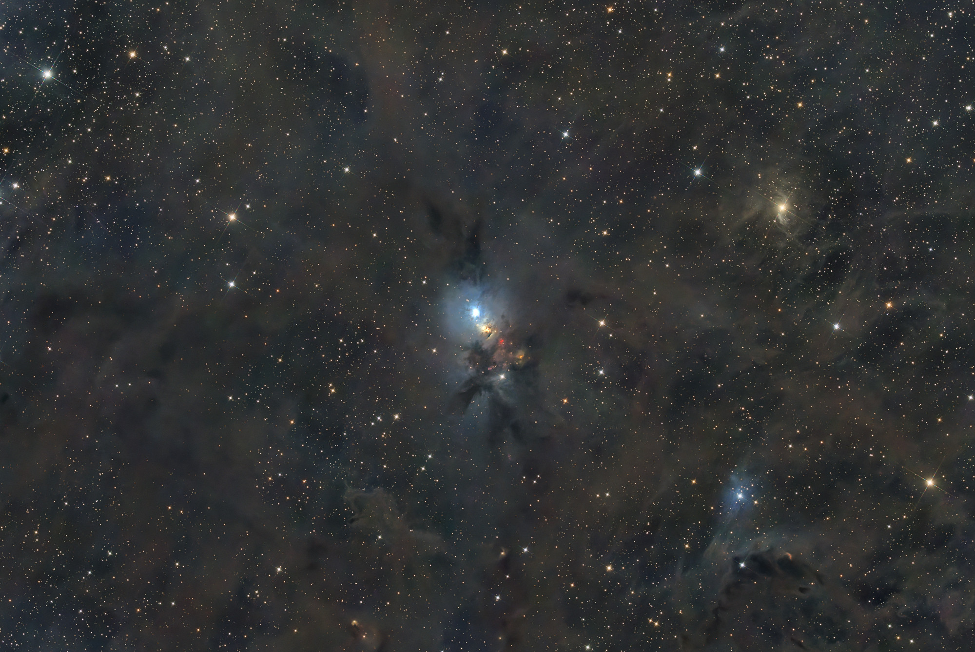 A reflection nebula in the constellation Perseus, the Embryo Nebula NGC 1333 is a vast star-forming region of young stars less than a million years old.